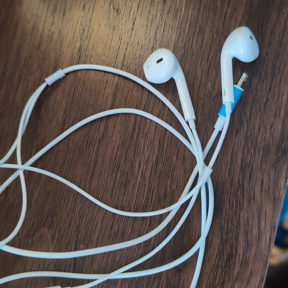 Apple headphones